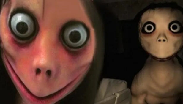 Cumhurbaşkanlığı'ndan Momo'ya karşı 8 önlem