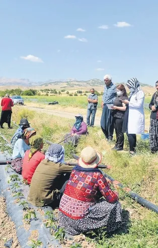 Aşırı güvendeyiz! Türkiye aşılamada 50 milyon dozu aştı: 3. doz aşılar yapılmaya başlandı