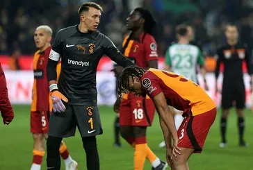 Aslan yere ’seri’ldi