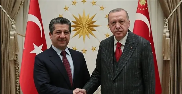Başkan Erdoğan, IKBY Başbakanı Mesrur Barzani’yi kabul etti