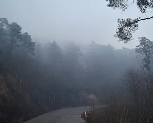 Bakandan Sürmene’deki yangına ilişkin açıklama