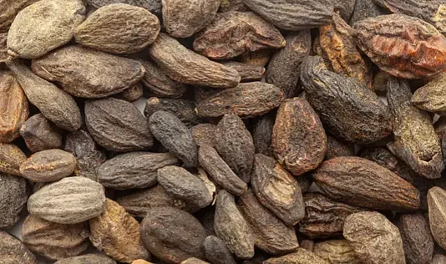 Bilim adamları şaşkın: Her derde deva! Siyah cevher olarak anılıyor! Peygamberimizin reçetesi-3