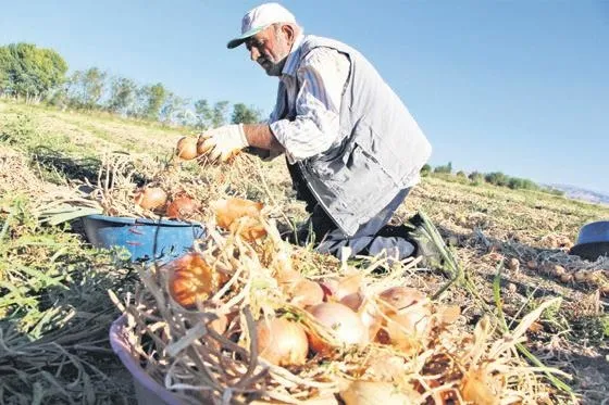 emekliler-icin-son-ipucu-merkez-bankasinin-piyasa-katilimcilari-anketinden-geldi-ekonomi-haberleri-1663358536862.jpeg Emekliler için son ipucu Merkez Bankası’nın Piyasa Katılımcıları Anketi’nden geldi | Ekonomi haberleri-6