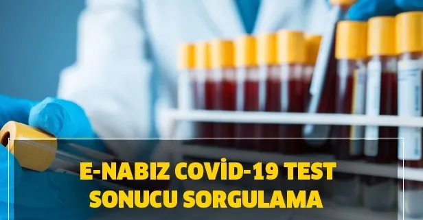 e devletten corona test sonucuna nasil bakilir e nabiz covid 19 test sonucu sorgulama ekrani takvim