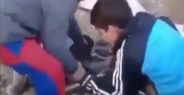 Polisten "patileri kesilen köpekle" provokasyon uyarısı