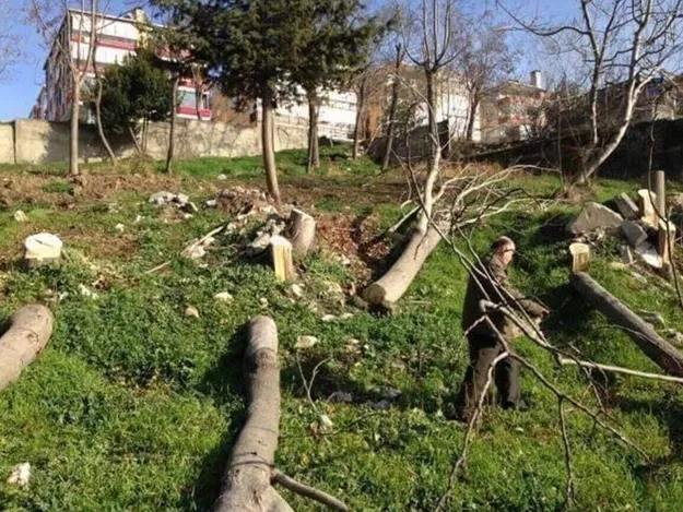 Son yeşil alanı satan CHP’li başkandan Gezicilere sus payı-1