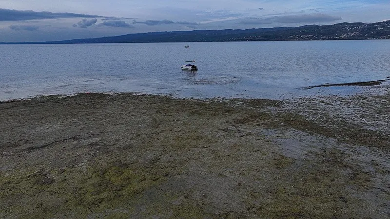 Sapanca Gölü alarm veriyor (AA)
