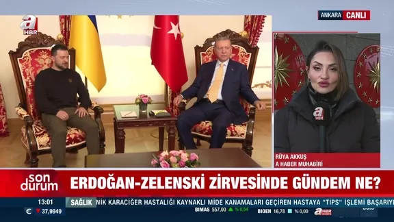 Erdoğan Zelenskiy zirvesinde gündem ne?