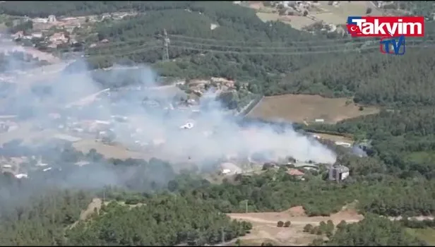 Son dakika: Beykoz'daki orman yangınıyla ilgili gözaltı