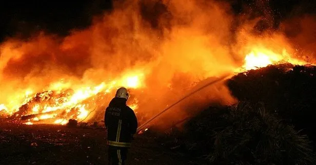 Antalya Kemer’de orman yangını