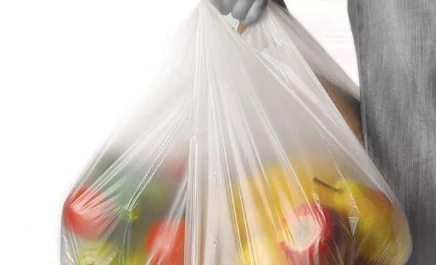 Almanya plastik poşetleri tamamen yasaklıyor-1