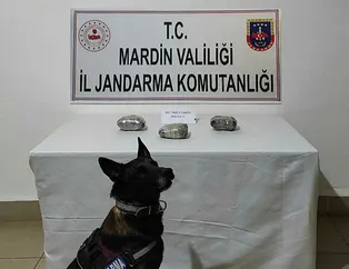 Mardin’de uyuşturucu operasyonu!