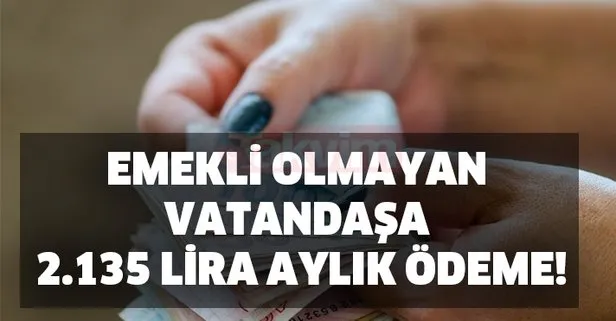 Emekli olmayan vatandaşa 2135 lira aylık ödeme yapılıyor! İşte başvuru detayı