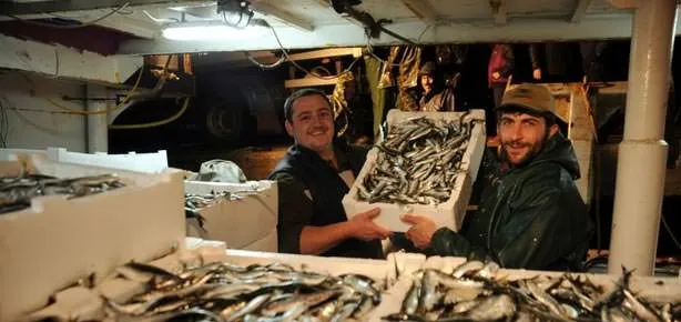 Sardalya ağa geldi!