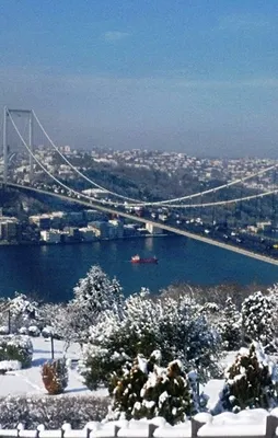 İstanbul Boğazı trafiğe kapatıldı!