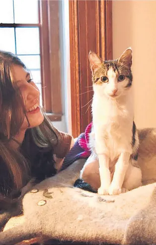 Şanslı kedi çöp kutusunda bulundu! 9 bin km uçup sahibine kavuştu gönüllere taht kurdu