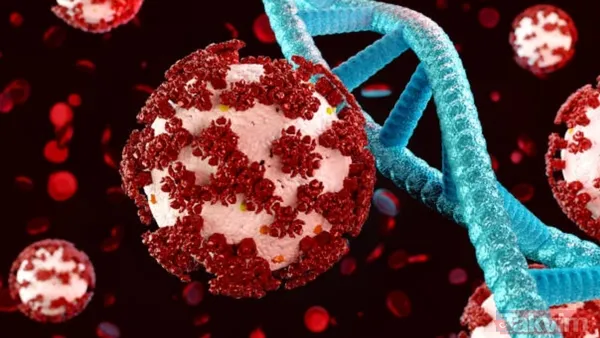 Bilim insanları açıkladı: COVID-19’u atlatan bazı kişiler neden yıllar sonra bile tat alamıyor? - 3