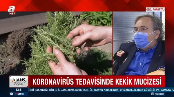prof-dr-ibrahim-saracoglu-koronavirusten-korunmak-icin-kekik-nane-adacayi-ve-karabas-otunun-nasil-kullanilmasi-gerektigini-anlatti-1604916332489.jpg Prof. Dr. İbrahim Saraçoğlu, koronavirüsten korunmak için kekik, nane, adaçayı ve karabaş otunun nasıl kullanılması gerektiğini anlattı-4