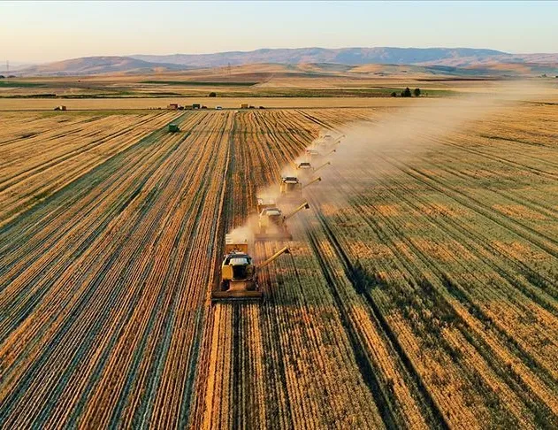 On binlerce kişiye müjde! Kredi borçları 4 taksite bölünecek