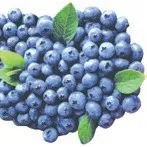 Hafızaya yaban mersini