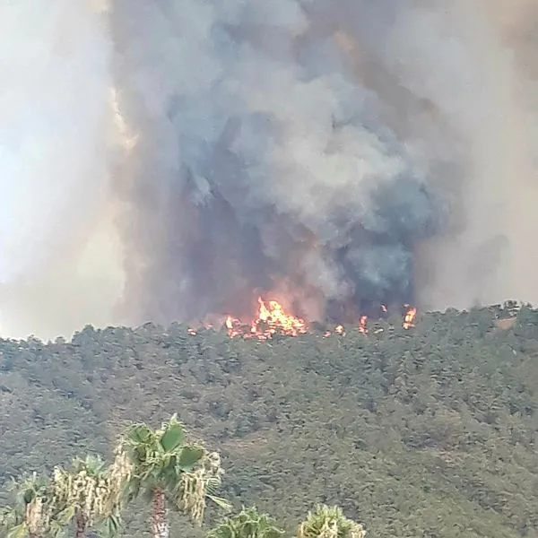 30-temmuz-antalya-manavgat-gazipasa-mugla-kocaeli-kutahya-yangin-son-dakika-haberleri-manavgat-yangin-sondu-mu-yanginlari-kim-cikardi-1627624496016.jpg 30 Temmuz Antalya Manavgat, Muğla, Marmaris, Adana yangın son dakika haberleri! Manavgat yangın söndü mü? İl il yangın haberleri son durum!-6