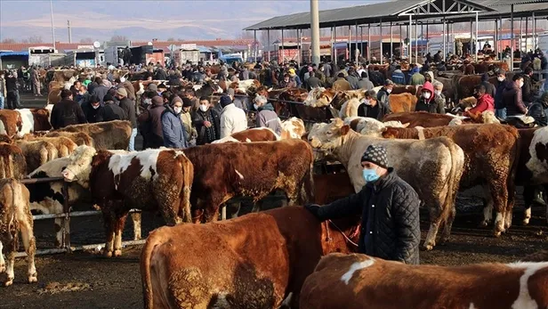 son-dakika-hayvan-pazarlari-acildi-mi-ne-zaman-acilacak-2023-hayvan-pazarlari-kapatildi-mi-neden-aciklama-geld-1682318076256.jpg 2023 Hayvan pazarları kapatıldı mı, neden? AÇIKLAMA GELDİ! Son dakika: Hayvan pazarları açıldı mı, ne zaman açılacak?-3