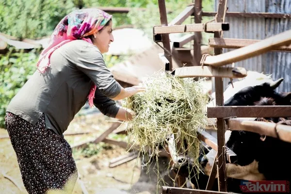 "Sağlığım El Verdiğince Bu İşi Yapacağım" Başarı Hikayesini Anlatan Fatma Öncel, Hayvancılığı Sevdiği İçin Ev Hanımlığını Bırakıp Böyle Bir İşe Girdiğini...