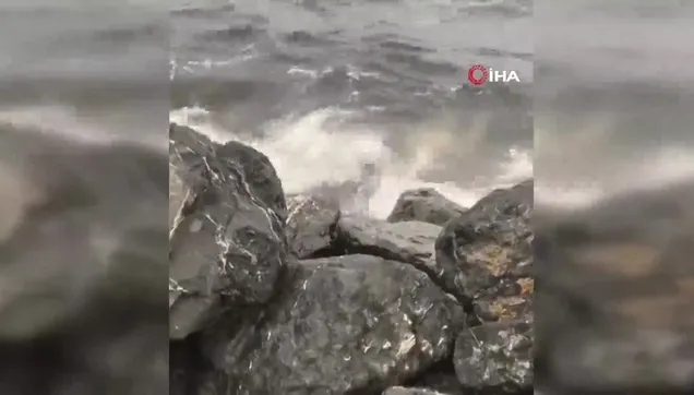 Fatih Yenikapı'da denizden ceset çıkarıldı