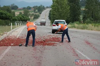 Tokat Niksar’da otomobil çilek yüklü minibüse çarptı! Çilekler yola savruldu