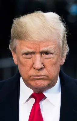 Amerika'nın yalnızlığı Time'ın kapağında