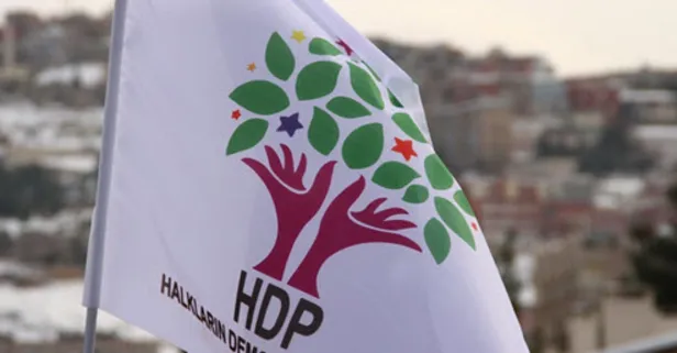 HDP'li 3 vekile fezleke şoku