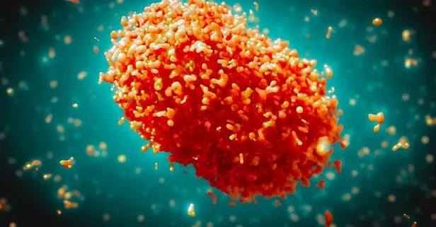 Afganistan’da maymun çiçeği alarmı! Uluslararası kurumlardan yardım istediler