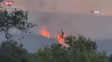 Şarköy'de orman yangını sabaha kadar sürdü