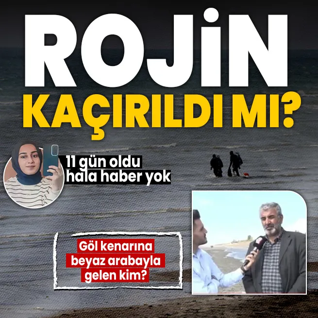 Rojin Kabaiş kaçırıldı mı? Arama çalışmalarına hassas burunlu köpekler dahil oldu