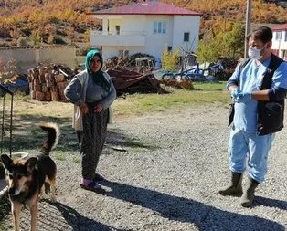 Kuduz paniği! Mahalle karantinaya alındı!