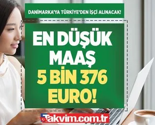 En düşük maaş 5 bin 376 Euro (56.000 TL) Danimarka'ya Türkiye'den işçi alımı yapılacak! Vasıflı- vasıfsız herkes başvurabilir! İşte kadrolar...