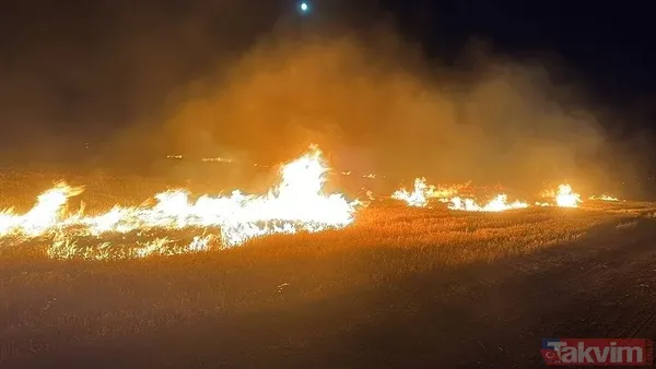 Anız yakma, yaktırma! Tarım ve Orman Bakanı İbrahim Yumaklı'dan çiftçiye 'yangın' uyarısı: Hasatta sigara içme, tarlada çay demleme - 2