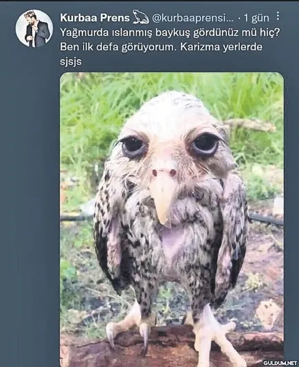 istedigini-yap-diyen-ama-aslinda-istemeyen-insan-1777665072329.jpeg