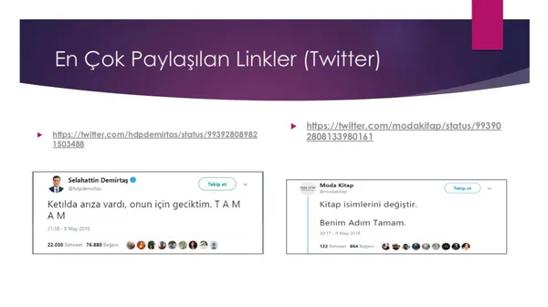 Twitter'daki kara propagandanın arkasında kimler var? TAMAM etiketine en çok hangi ülkeden destek verildi?-5