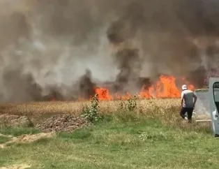 Tekirdağ’da 50 dönüm alan kül oldu