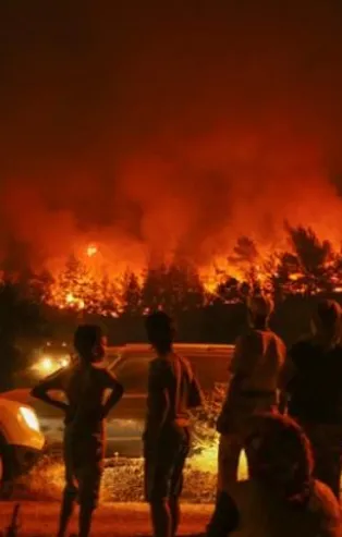 Orman yakan PKK'lılara terörist diyemediler!