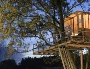 En İlginç Ağaç Evler