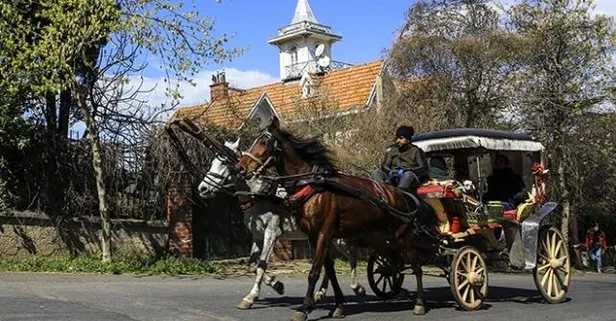 Faytonlara 83 milyon lira