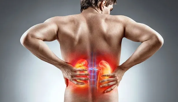 idrarda-kan-bobrekte-tas-iste-bu-hastaliktan-korunmanin-yollari-1671410310287.jpeg İdrarda kan böbrekte taş! İşte bu hastalıktan korunmanın yolları...-2