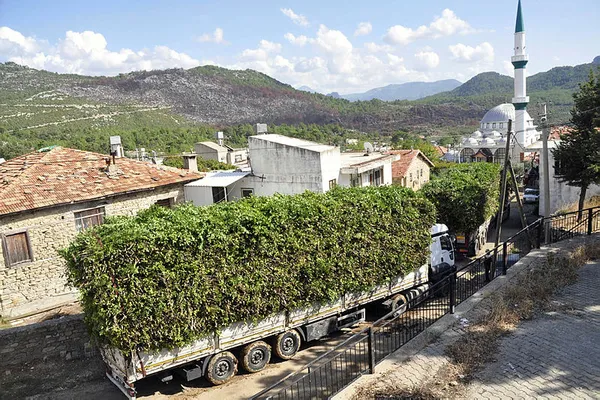 Avrupa'dan sipariş yağıyor! 5 milyon TL'lik gelir!-4