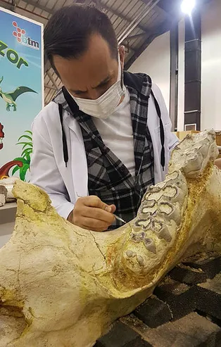 Kayseri'de 3 yılda bine yakın fosil bulundu