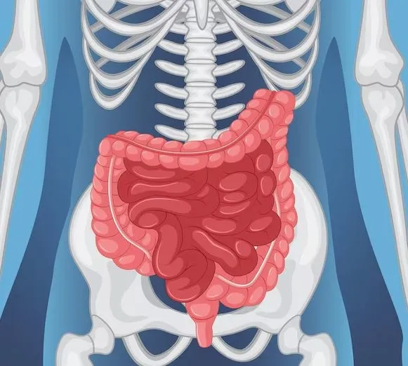 Doktorlar gazınızı asla tutmamanız gerektiğine dair korkutucu bir neden açıklıyor: Toksinler AĞZINIZA girebilir-5