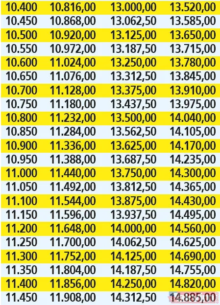 Memura-emekliye zamlı maaş rehberi! Oranlar nasıl yansıtılacak? Yüzde 25 artış EYT'lileri kapsıyor mu? - 12