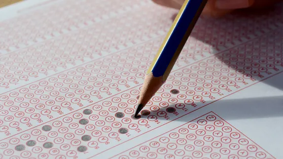 AÖL soru ve cevap anahtarı 2025: Açık Lise 1. dönem sınav sonuçları ne zaman açıklanacak?