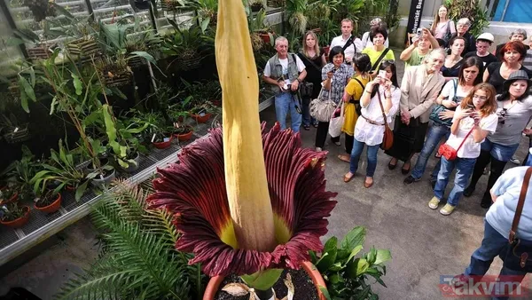 (Kaynak: Washingtonian Dergi, Discovery, Sosyal Medya)